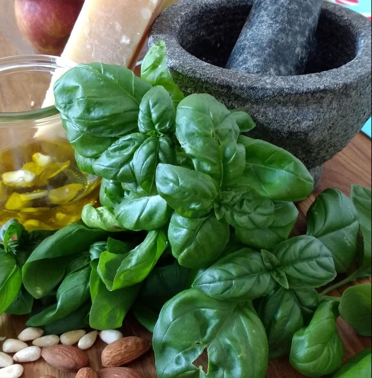 Basilikum-Pesto - Bauchküche