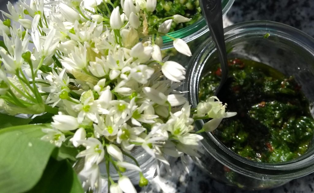 Bärlauch-Tomaten-Pesto