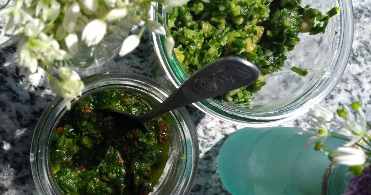 Bärlauch-Pesto-Variationen – gluten- und laktosefreies Frühlingsvergnügen